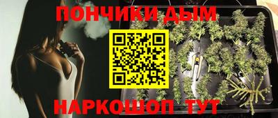 МДПВ Тула