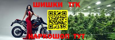 МДПВ Тула