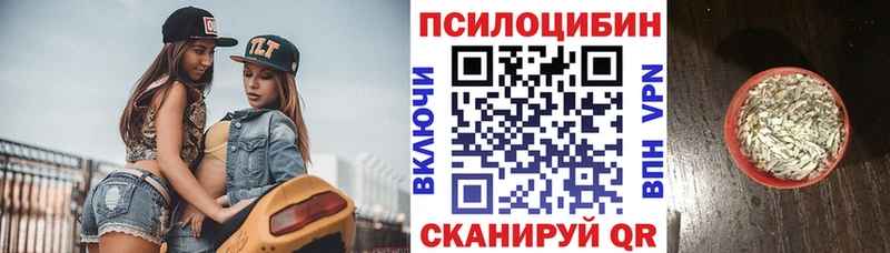Галлюциногенные грибы Cubensis  Лобня 