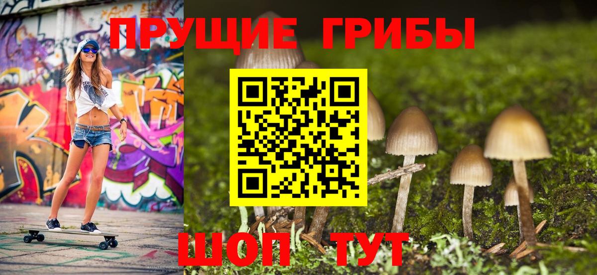 Галлюциногенные грибы Psilocybe  где купить наркоту  Лобня  Вход с VPN  Галлюциногенные грибы Magic Shrooms 