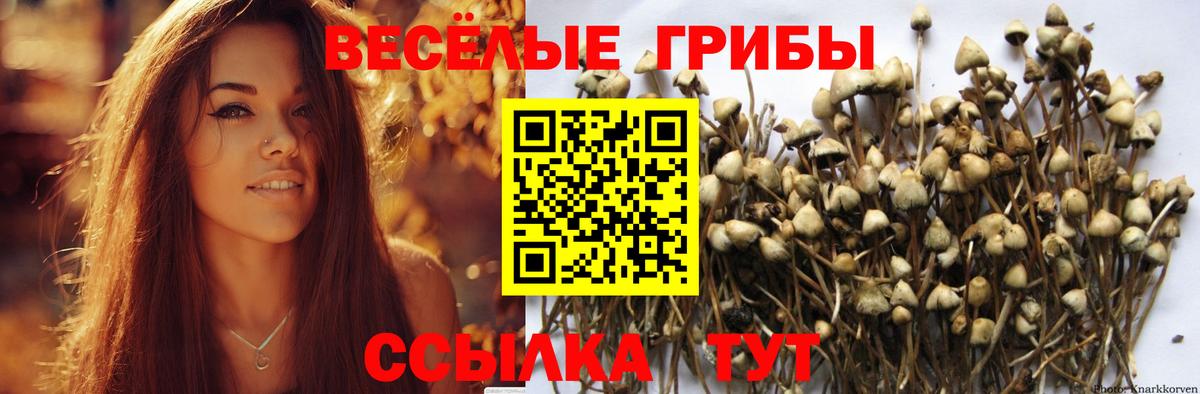 Псилоцибиновые грибы ЛСД Лобня